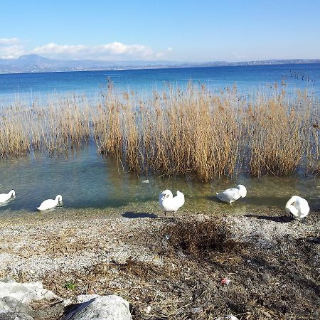 Debora Maison B&B Colombare Di Sirmione Zewnętrze zdjęcie