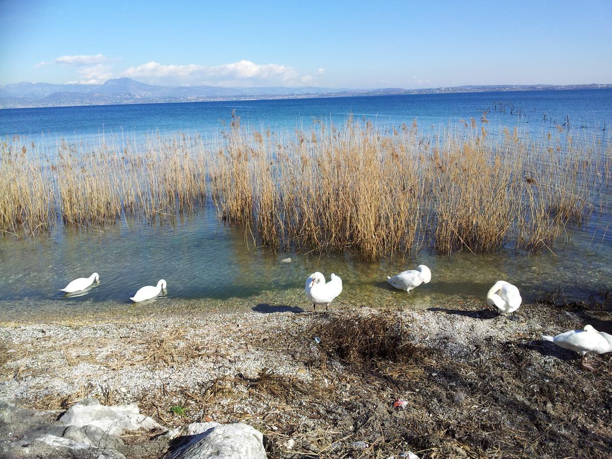 Debora Maison B&B Colombare Di Sirmione Zewnętrze zdjęcie